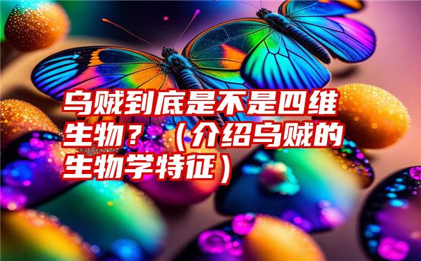 乌贼到底是不是四维生物？（介绍乌贼的生物学特征）