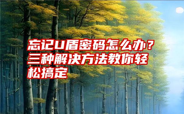 忘记U盾密码怎么办？三种解决方法教你轻松搞定