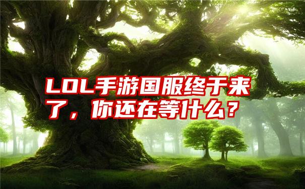 LOL手游国服终于来了，你还在等什么？