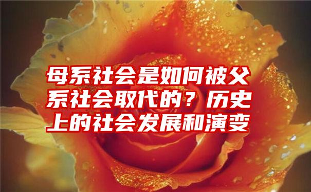 母系社会是如何被父系社会取代的？历史上的社会发展和演变