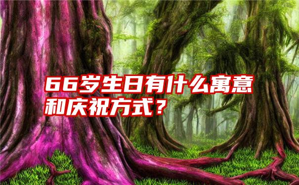 66岁生日有什么寓意和庆祝方式？