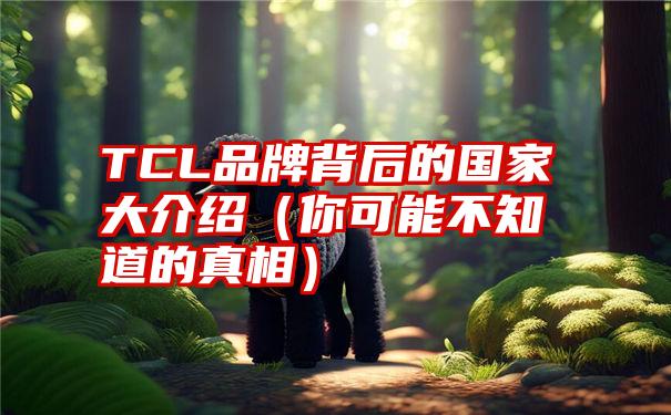 TCL品牌背后的国家大介绍（你可能不知道的真相）