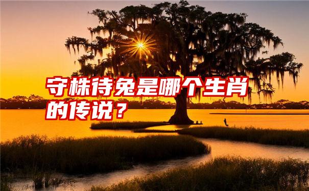 守株待兔是哪个生肖的传说？