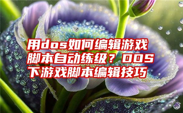 用dos如何编辑游戏脚本自动练级？DOS下游戏脚本编辑技巧