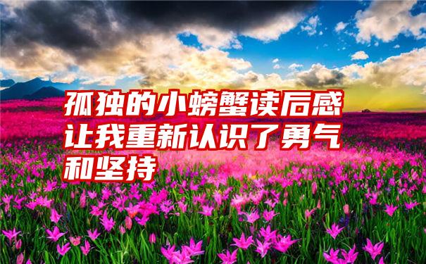 孤独的小螃蟹读后感让我重新认识了勇气和坚持