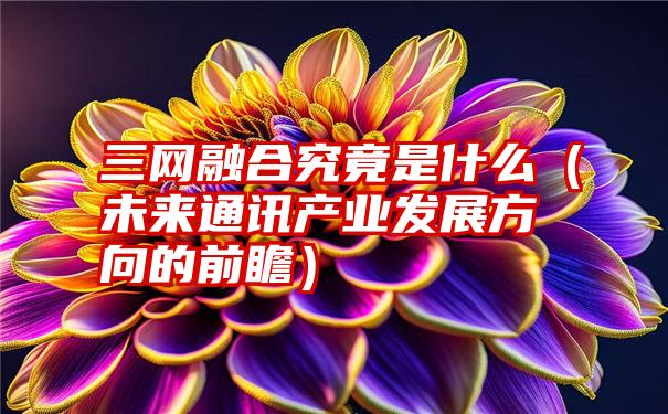 三网融合究竟是什么（未来通讯产业发展方向的前瞻）