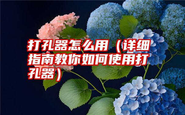 打孔器怎么用（详细指南教你如何使用打孔器）