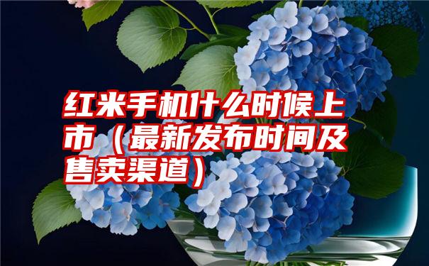 红米手机什么时候上市（最新发布时间及售卖渠道）