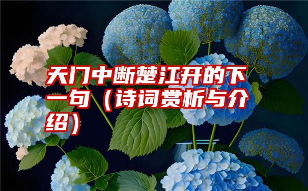 天门中断楚江开的下一句（诗词赏析与介绍）