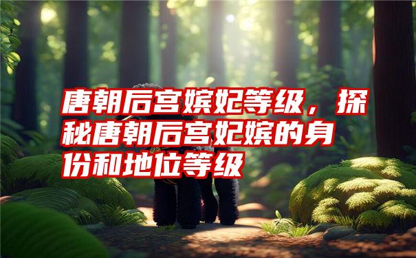 唐朝后宫嫔妃等级，探秘唐朝后宫妃嫔的身份和地位等级