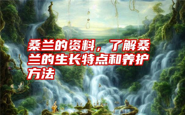 桑兰的资料，了解桑兰的生长特点和养护方法