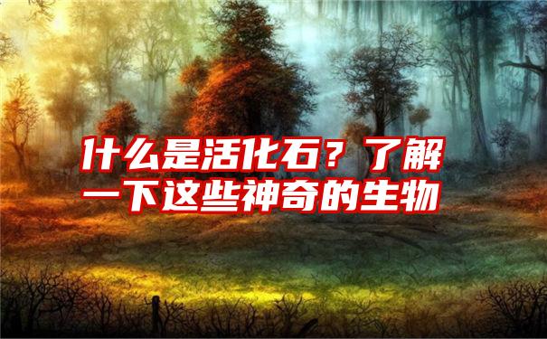 什么是活化石？了解一下这些神奇的生物