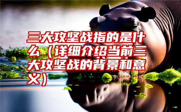 三大攻坚战指的是什么（详细介绍当前三大攻坚战的背景和意义）