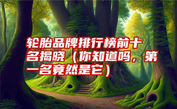 轮胎品牌排行榜前十名揭晓（你知道吗，第一名竟然是它）