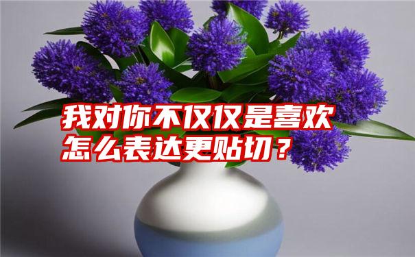 我对你不仅仅是喜欢怎么表达更贴切？