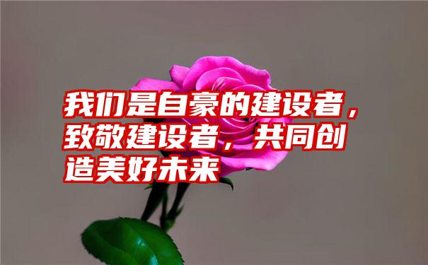 我们是自豪的建设者，致敬建设者，共同创造美好未来