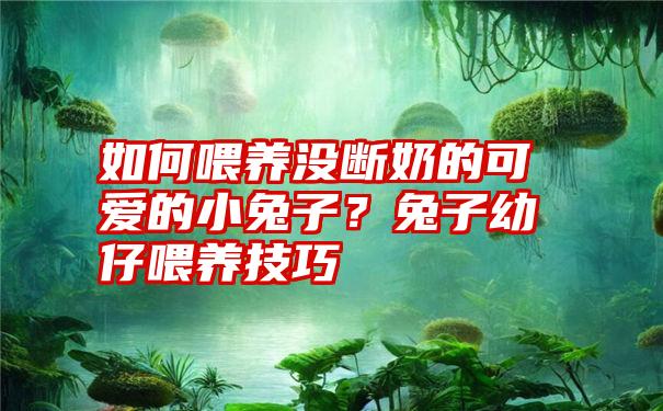 如何喂养没断奶的可爱的小兔子？兔子幼仔喂养技巧