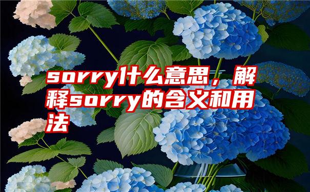 sorry什么意思，解释sorry的含义和用法