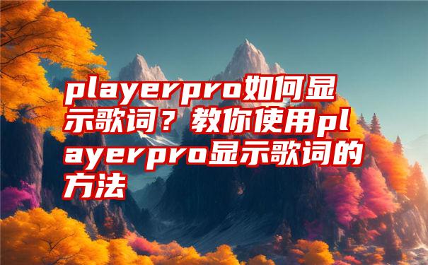 playerpro如何显示歌词？教你使用playerpro显示歌词的方法