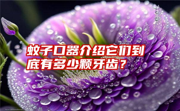 蚊子口器介绍它们到底有多少颗牙齿？