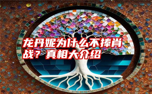 龙丹妮为什么不捧肖战？真相大介绍