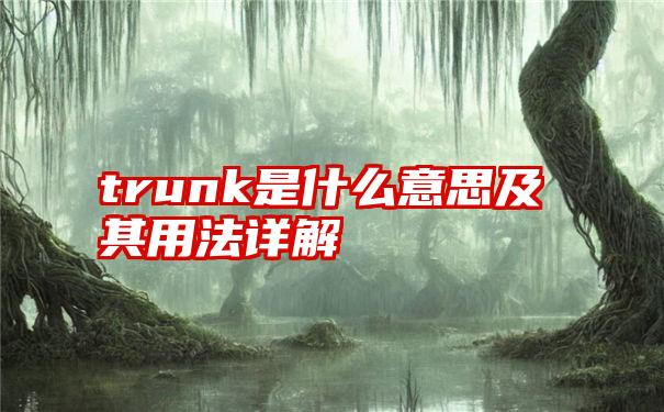 trunk是什么意思及其用法详解