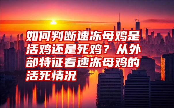 如何判断速冻母鸡是活鸡还是死鸡？从外部特征看速冻母鸡的活死情况