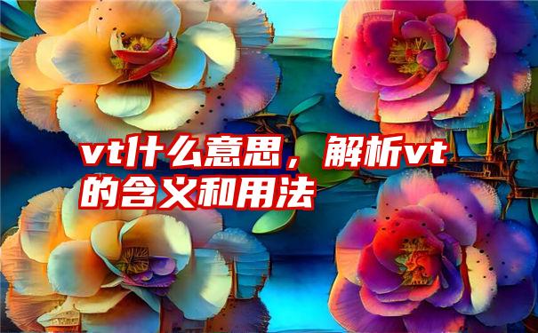 vt什么意思，解析vt的含义和用法