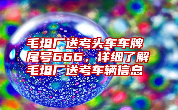 毛坦厂送考头车车牌尾号666，详细了解毛坦厂送考车辆信息