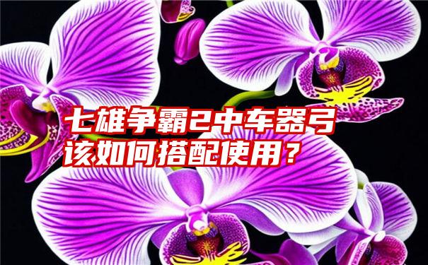 七雄争霸2中车器弓该如何搭配使用？