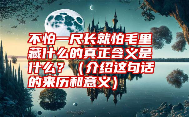 不怕一尺长就怕毛里藏什么的真正含义是什么？（介绍这句话的来历和意义）