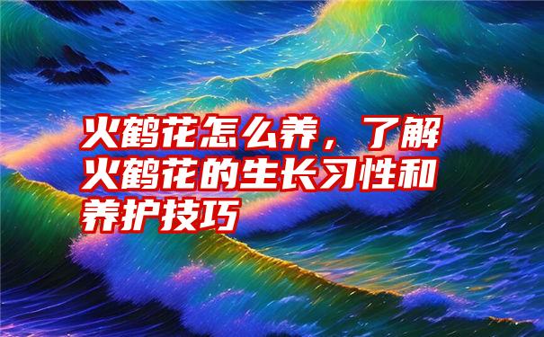 火鹤花怎么养，了解火鹤花的生长习性和养护技巧