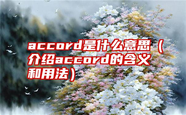 accord是什么意思（介绍accord的含义和用法）