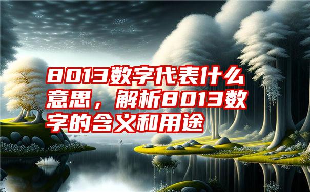 8013数字代表什么意思，解析8013数字的含义和用途