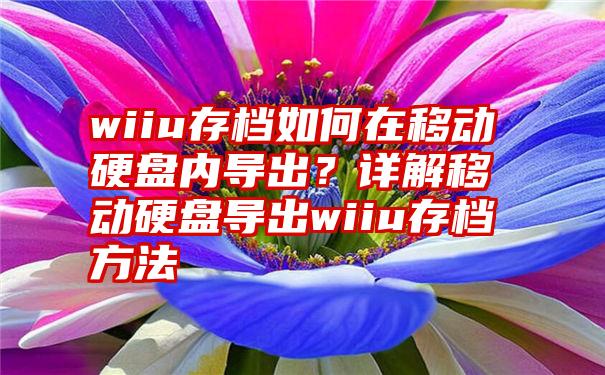 wiiu存档如何在移动硬盘内导出？详解移动硬盘导出wiiu存档方法