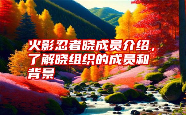 火影忍者晓成员介绍，了解晓组织的成员和背景