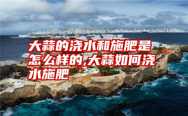 大蒜的浇水和施肥是怎么样的,大蒜如何浇水施肥