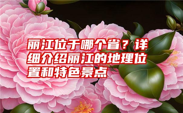 丽江位于哪个省？详细介绍丽江的地理位置和特色景点