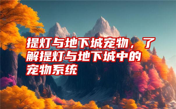 提灯与地下城宠物，了解提灯与地下城中的宠物系统