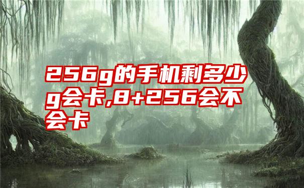 256g的手机剩多少g会卡,8+256会不会卡