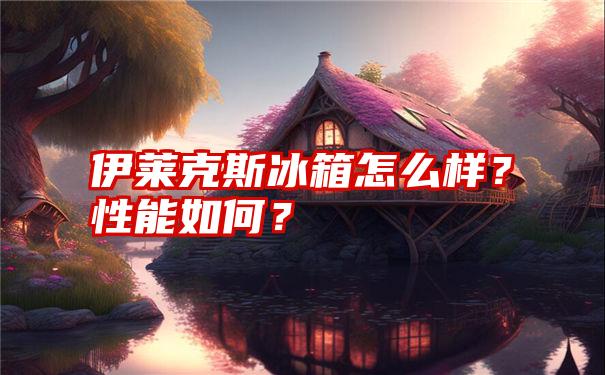 伊莱克斯冰箱怎么样？性能如何？