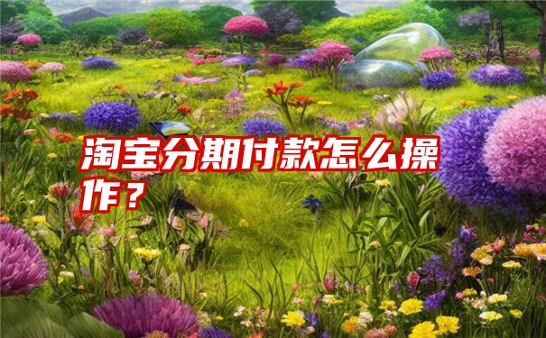 淘宝分期付款怎么操作？