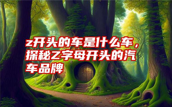 z开头的车是什么车，探秘Z字母开头的汽车品牌