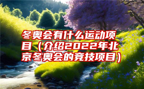 冬奥会有什么运动项目（介绍2022年北京冬奥会的竞技项目）