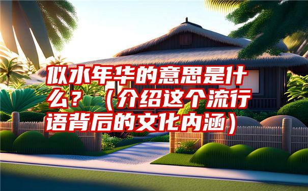 似水年华的意思是什么？（介绍这个流行语背后的文化内涵）