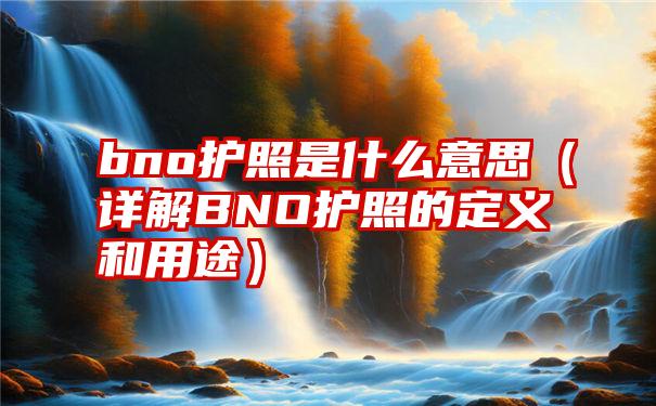 bno护照是什么意思（详解BNO护照的定义和用途）