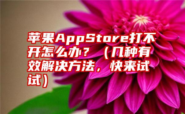 苹果AppStore打不开怎么办？（几种有效解决方法，快来试试）