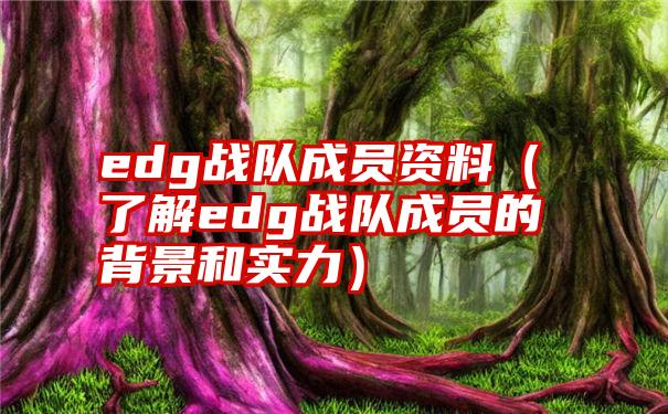 edg战队成员资料（了解edg战队成员的背景和实力）