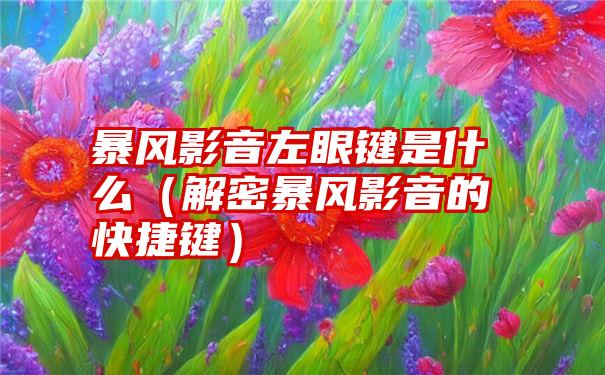 暴风影音左眼键是什么（解密暴风影音的快捷键）