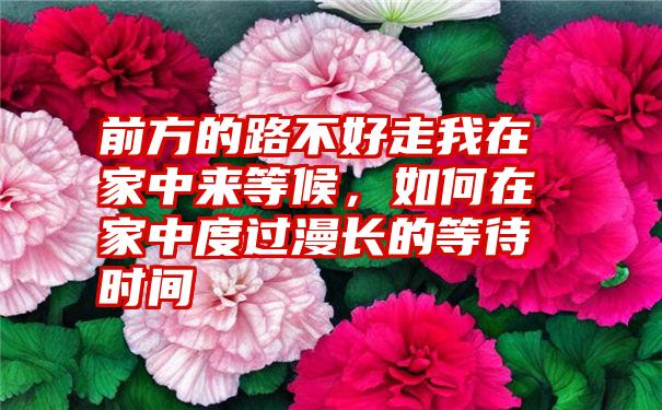 前方的路不好走我在家中来等候，如何在家中度过漫长的等待时间